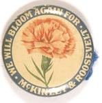 McKinley Carnation