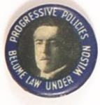 Wilson Progressive Policies