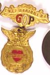 Hoover Convention Badge 