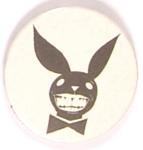 Carter Bunny