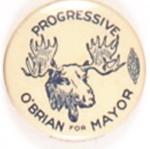 O`Brian for Mayor