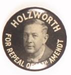 Holzworth Repeal Amendment