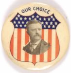 Theodore Roosevelt Our Choice