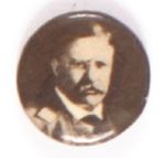 Roosevelt Sepia