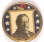 Taft Liberty Cap