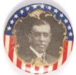 Wilson Scarce Stars, Stripes