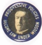 Wllson Progressive Policies