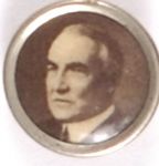 Harding Smaller Size Celluloid