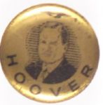 Rare Hoover Gold Stud