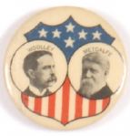 Woolley-Metcalfe Prohibition Party