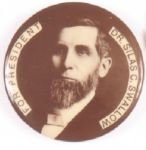 Silas Swallow, Prohibition Party Candidate