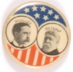Woolley-Metcalfe Prohibition Party