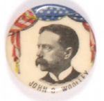 Woolley Prohibition 