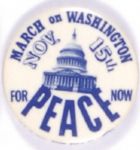 Vietnam D.C. March