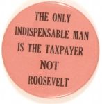 Willkie Indispensable Man is the Taxpayer