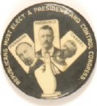 Roosevelt Pennsylvania Coattail