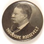 Roosevelt Profile