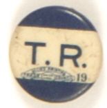 T.R. Celluloid Pin