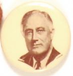 Roosevelt Unusual Image