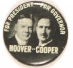 Hoover--Cooper Ohio Coattail