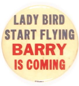 Lady Bird Start Flying
