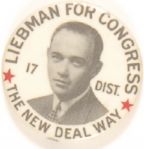 Liebman for Congress, New Deal Way New York