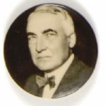 Warren Harding Picture Pin