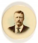 Roosevelt Colorful Celluloid