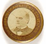 McKinley Stickpin