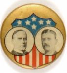 McKinley-TR Shield