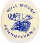 TR Bull Moose Pennsylvania