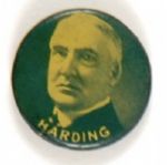 Harding Unusual Picture Pin