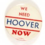 We Need Hoover Now
