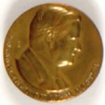 Hoover Brass Pin