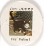Socks First Feline