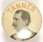 Tanner for Governor, Illinois