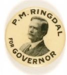 Ringdal for Governor, Minnesota
