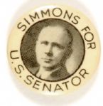 Simmons for Senator, Nebraska