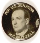 Buzzell for Senator, Maine