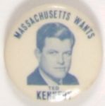 Massachusetts Wants Ted Kennedy
