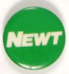 Newt Gingrich 1974