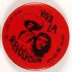 Farm Workers Revolution
