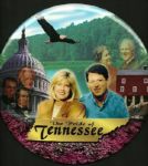 Gore 9 Inch, Rare Tennessee Pin