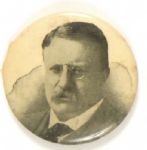 Theodore Roosevelt Unusual Portrait Pin