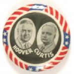 Hoover and Curtis Stars and Stripes Jugate