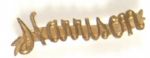 Harrison Name Pin