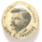 Osborne for Bryan, Free Silver