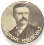 Unusual Theodore Roosevelt