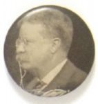 Theodore Roosevelt Smaller Celluloid