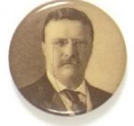Theodore Roosevelt Sepia